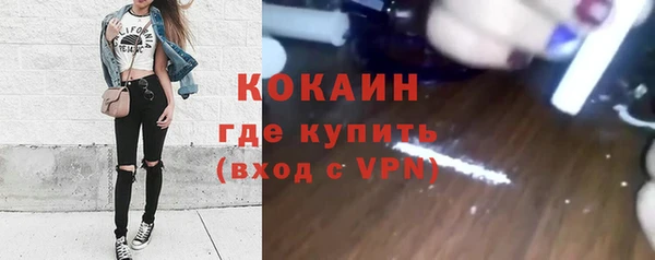 дживик Новодвинск