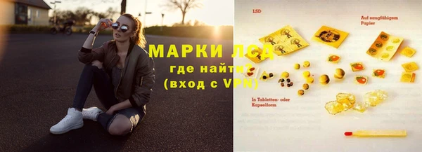 сатива Новокубанск