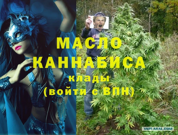 сатива Новокубанск