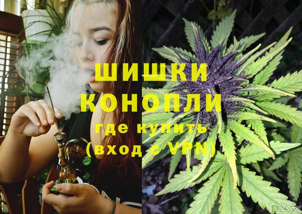дживик Новодвинск