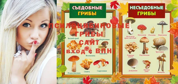 сатива Новокубанск