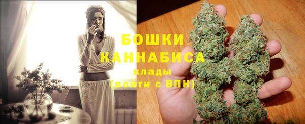 дживик Новодвинск
