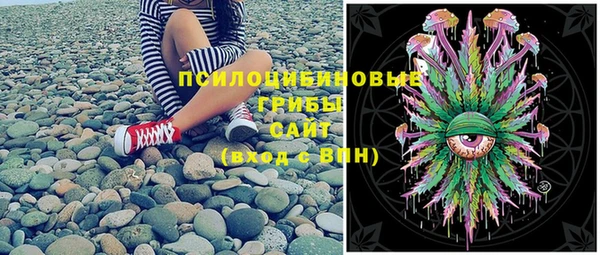 дживик Новодвинск