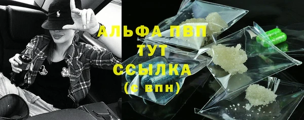 сатива Новокубанск