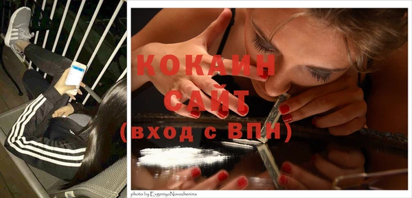 сатива Новокубанск