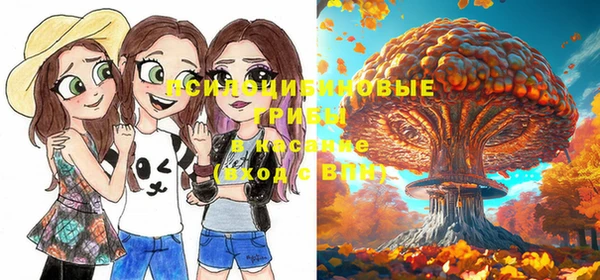 сатива Новокубанск